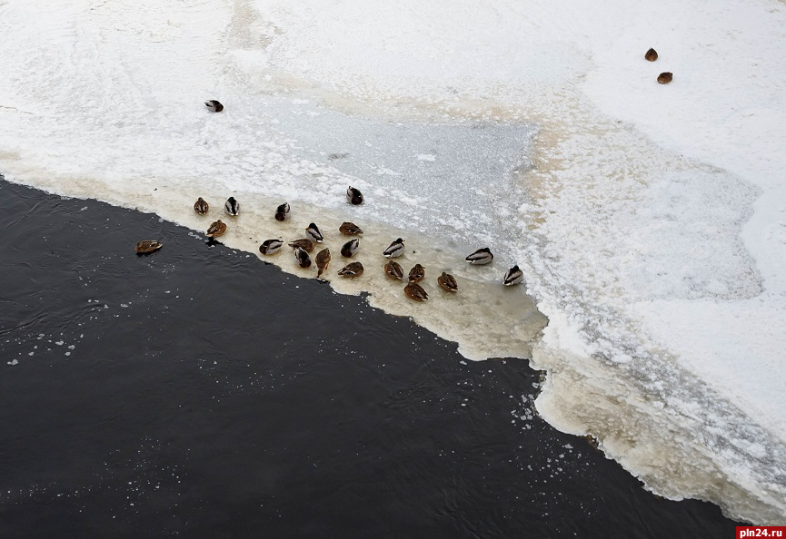 Признаки непрочного льда на водоёмах перечислили псковичам