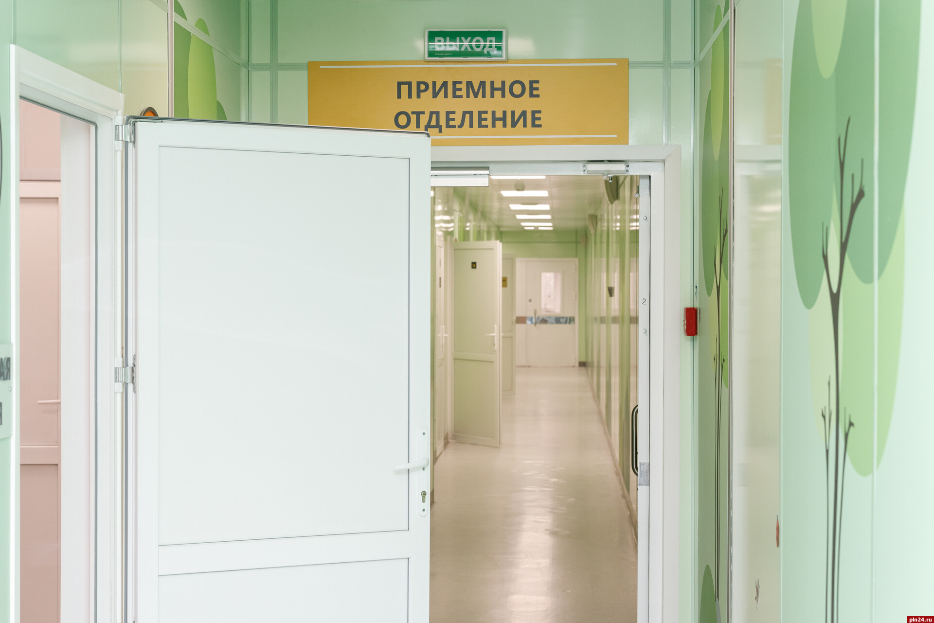 Заболеваемость COVID-19 в Псковской области упала более чем на 20%