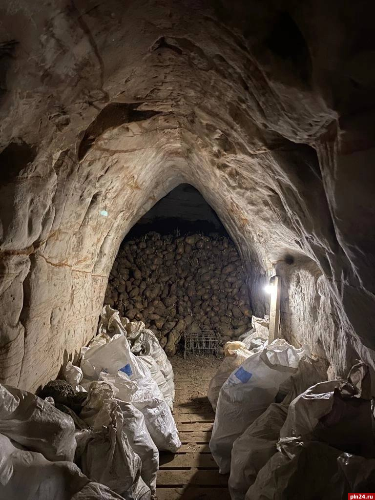 Пещеры для хранения овощей показали в Псково-Печерском монастыре