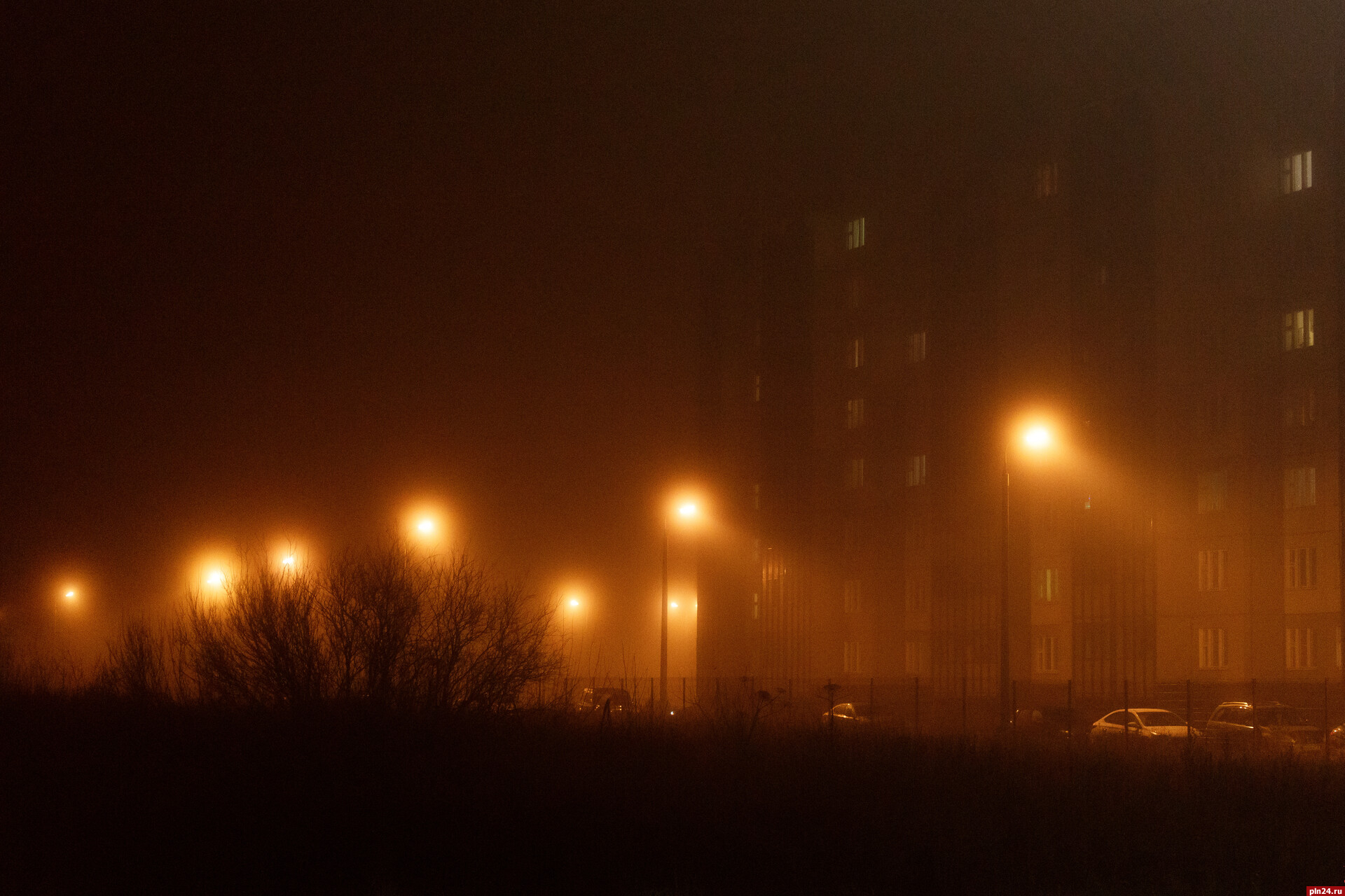 Туман с видимостью менее 500 метров опустится на Псковскую область
