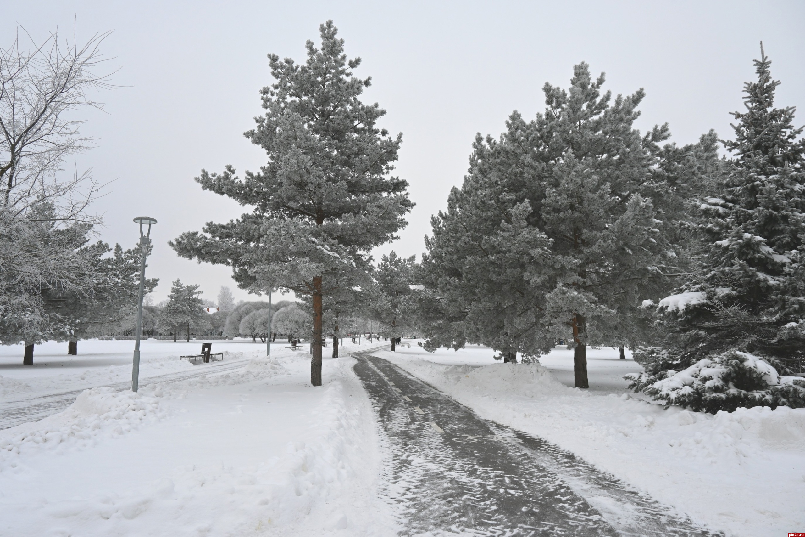 Снеговики и лыжи: как в Пскове обрадовались выпавшему снегу