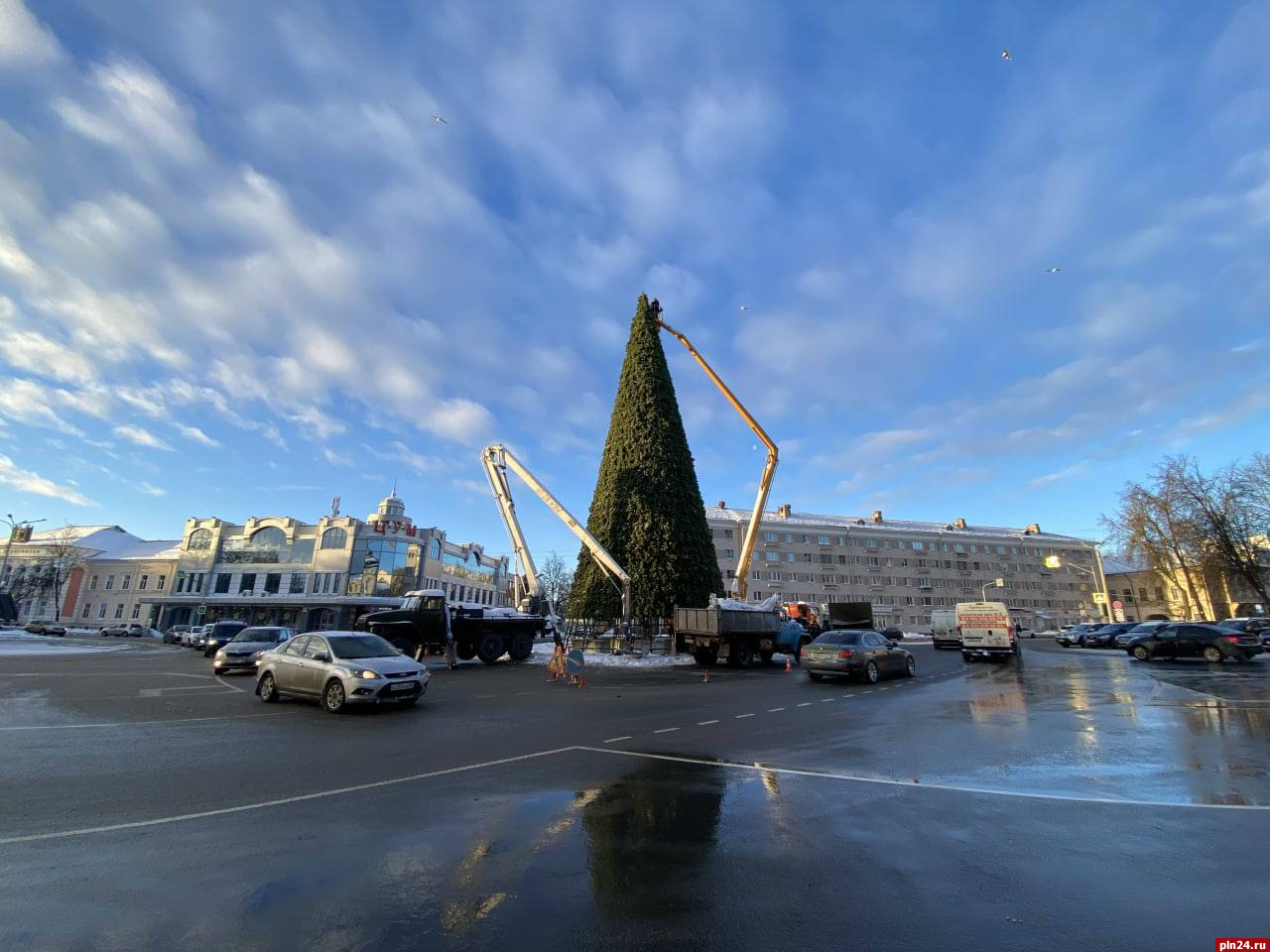 Гирлянды длиной 40 метров украсят главную новогоднюю ель Пскова