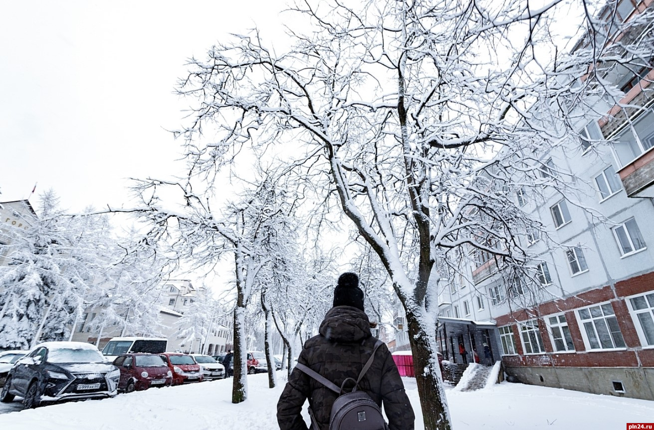 20-градусные морозы ожидаются в Псковской области ночью 18 декабря