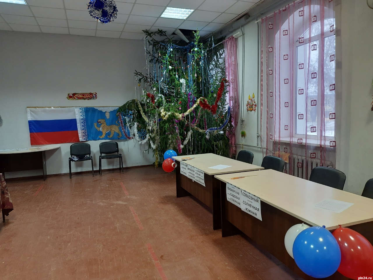 Стартовали досрочные выборы главы Пушкиногорского района