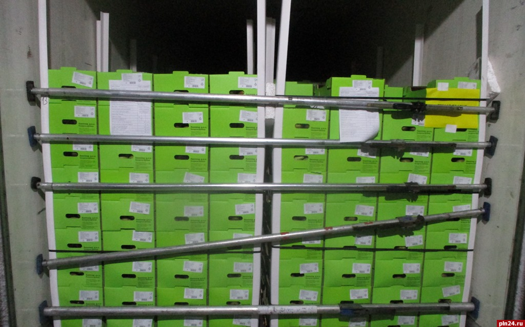 Ввоз почти 60 тонн боснийских груш запретили на госгранице РФ в Псковской области