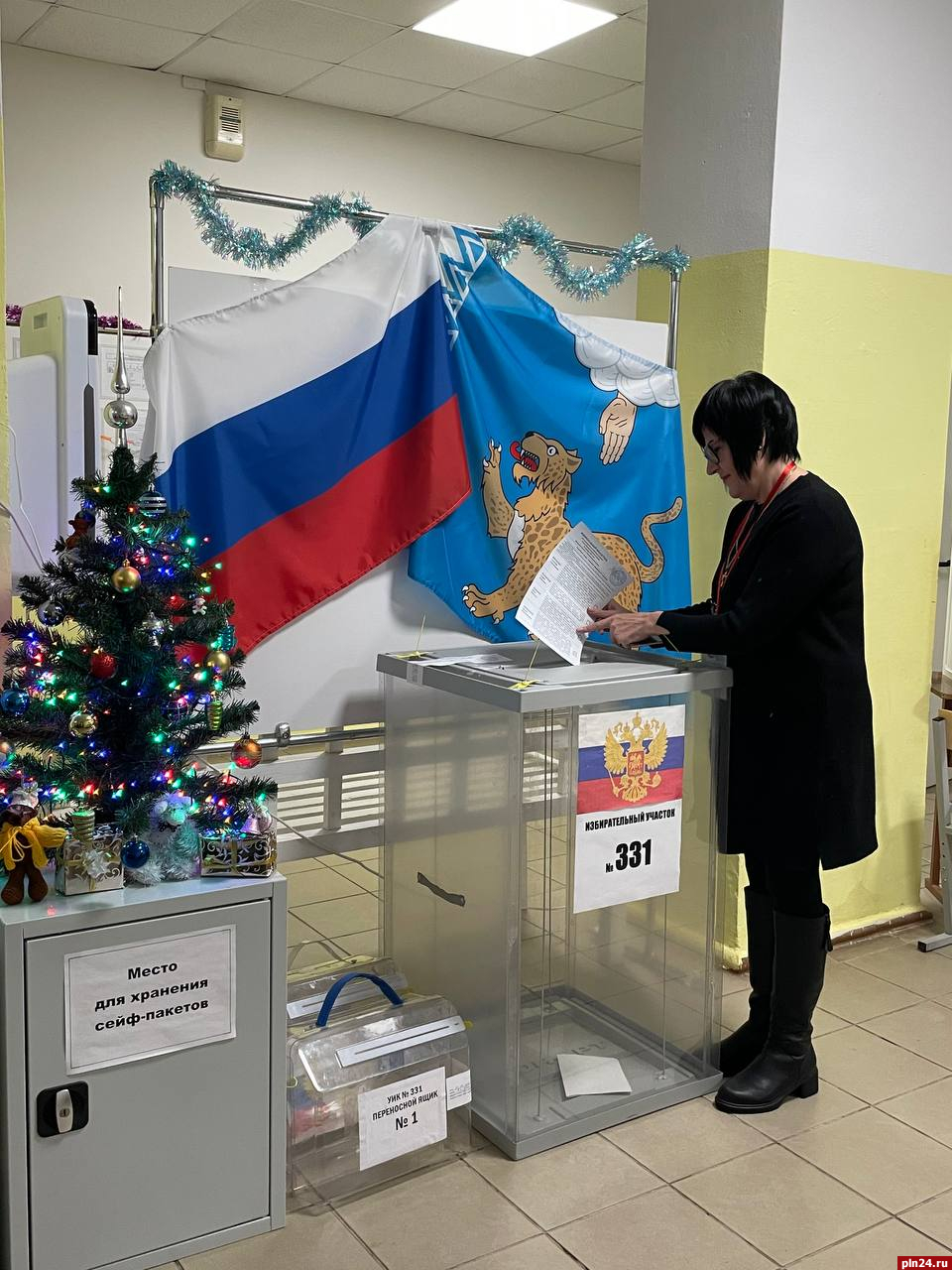 Явка на выборах главы Пушкиногорского района на 18.00 составила более 33%