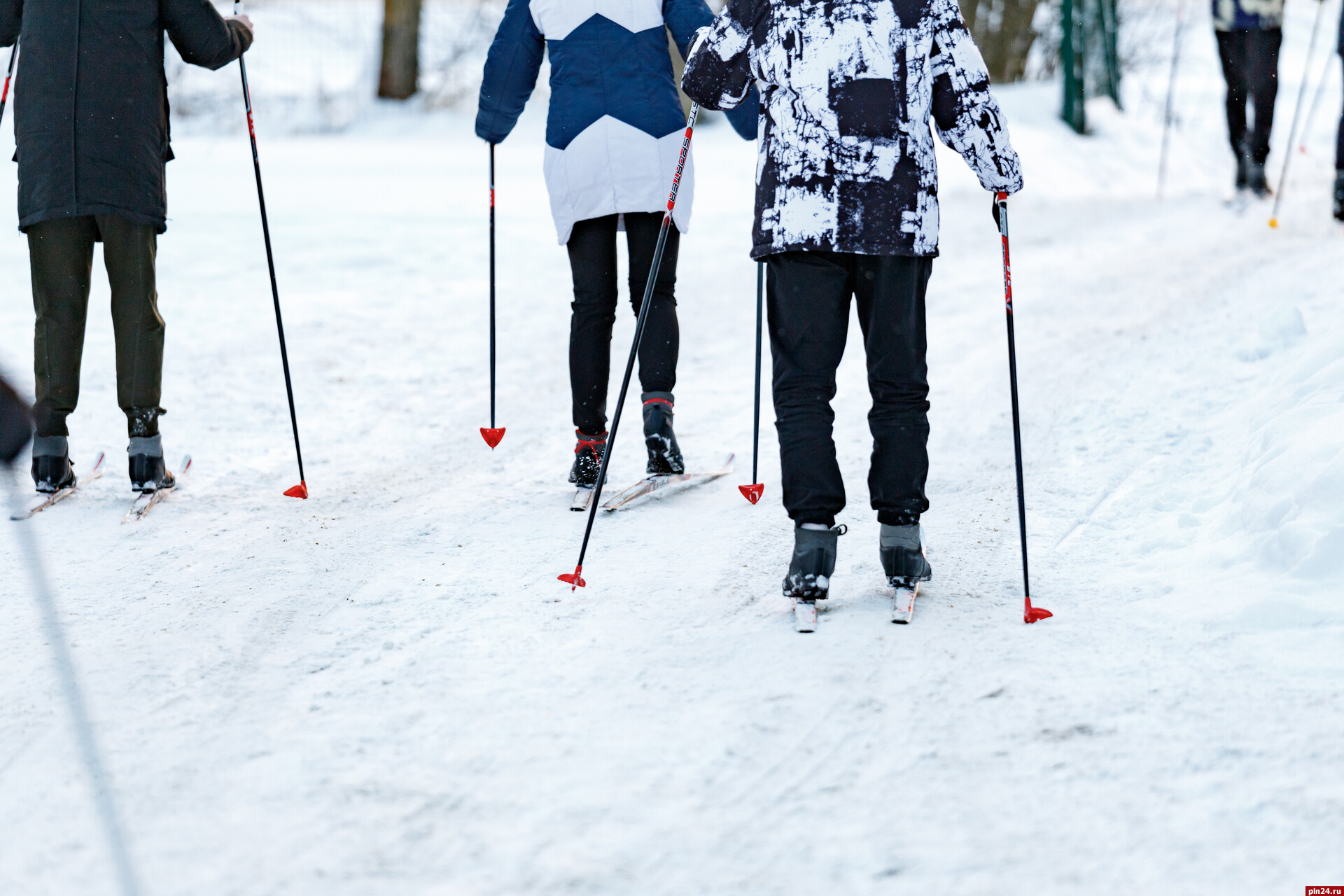 Трассу для лыжных гонок планируют оборудовать в Корытовском лесу