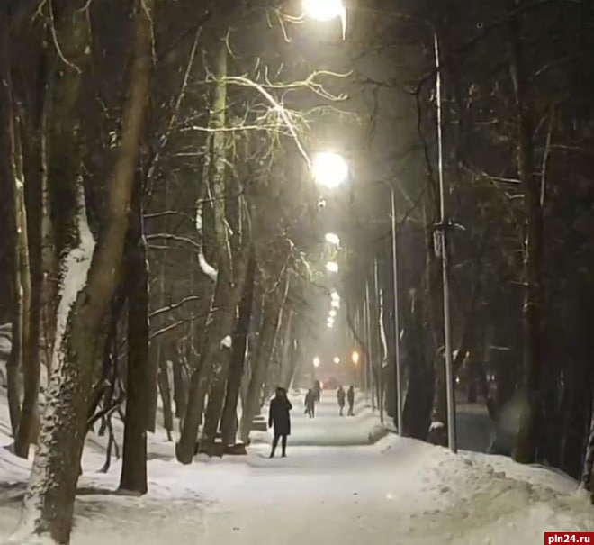 Псковские энергетики перешли в режим повышенной готовности из-за снега с дождём