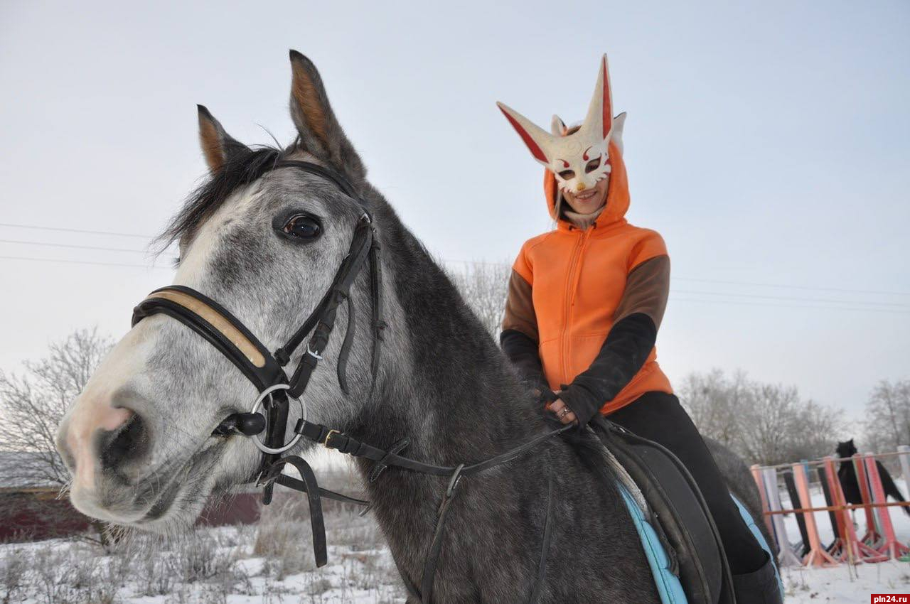 Фестиваль для любителей конного спорта прошёл в Псковском районе