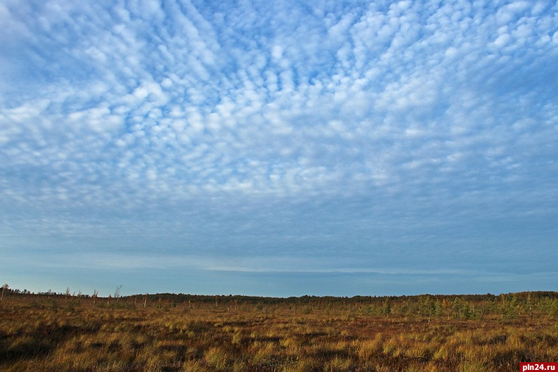 Почти 40 особо охраняемых природных территорий находятся в Псковской области