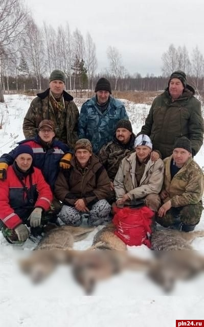 Волков застрелили охотники в Красногородском районе. ФОТО