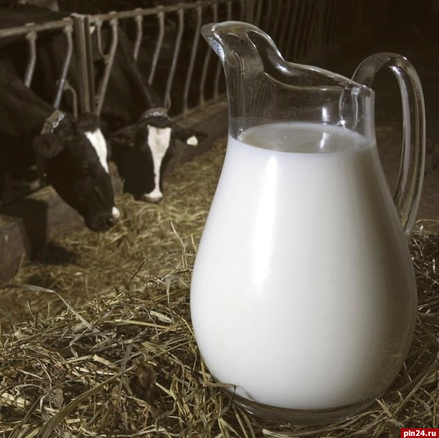 Акцию на молоко в псковских магазинах «Деревня Соловьи» продлили до 22 января