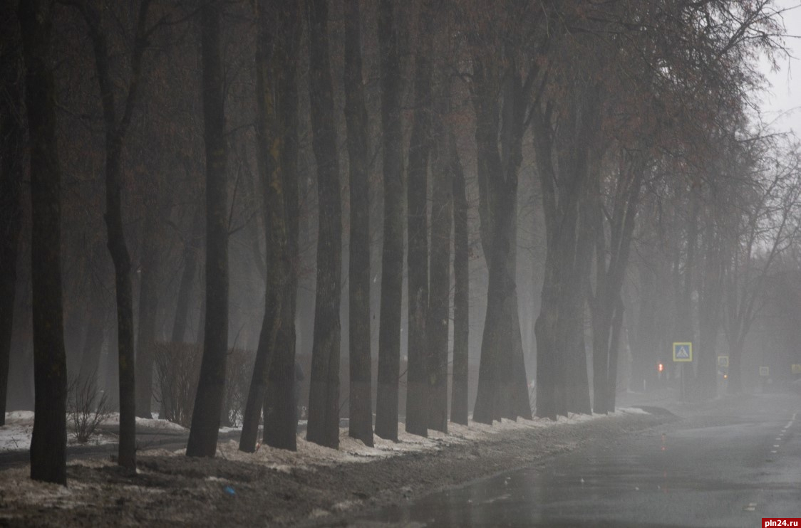 До шести градусов прогреется воздух в Псковской области 19 января