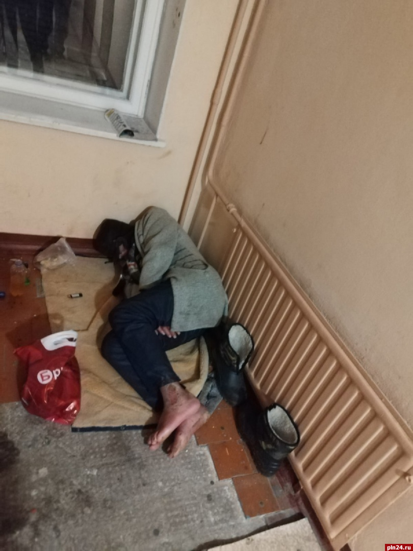 «Что делать с бомжом в подъезде?»: псковичей беспокоит бездомный сосед