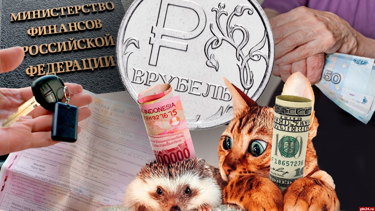 В рубель: Новые курсы валют, импотенция ОСАГО и пугающая статистика