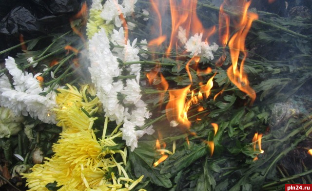 Более пяти тысяч зараженных цветов уничтожат в Псковской области