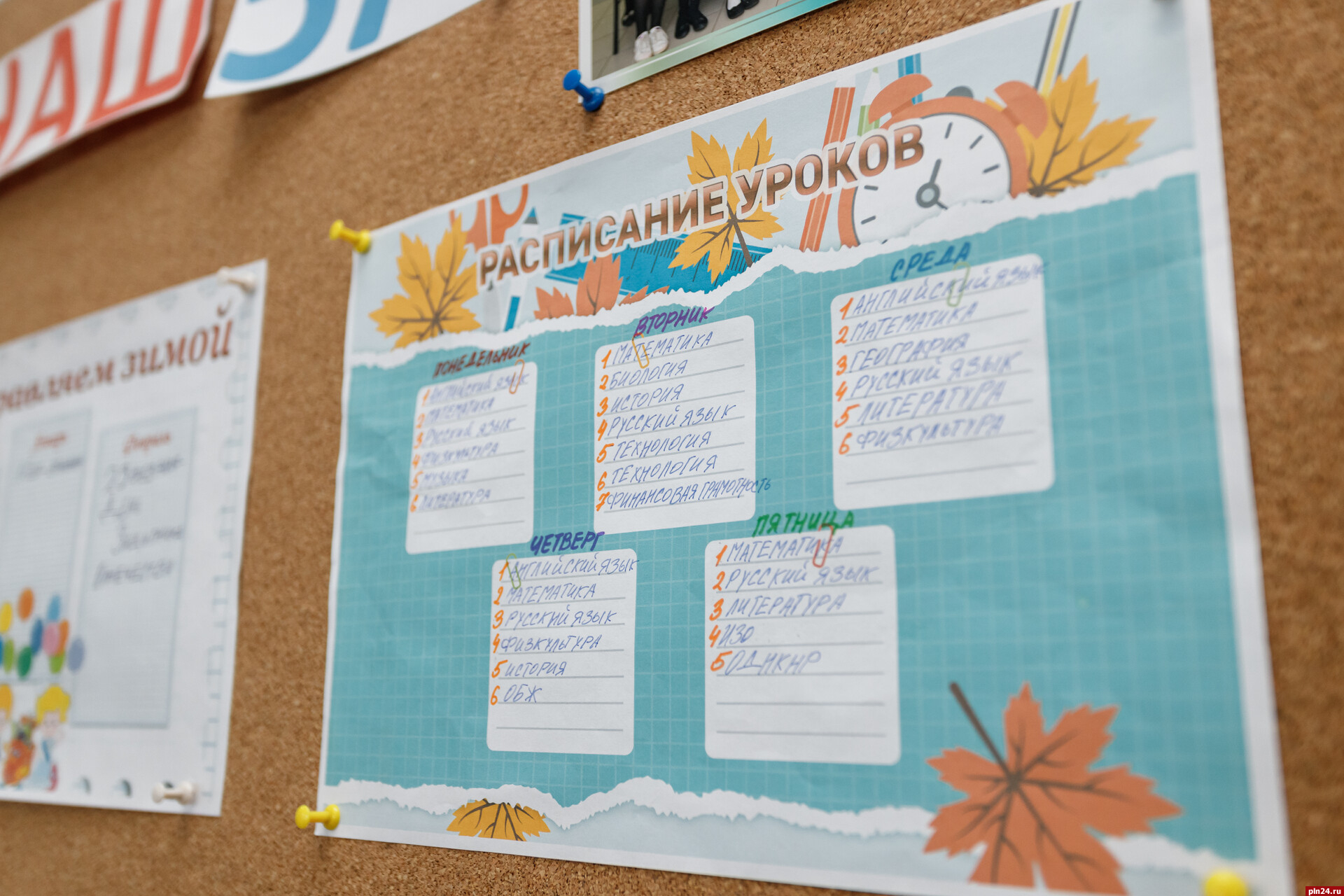 Количество вакансий для учителей растёт в Псковской области