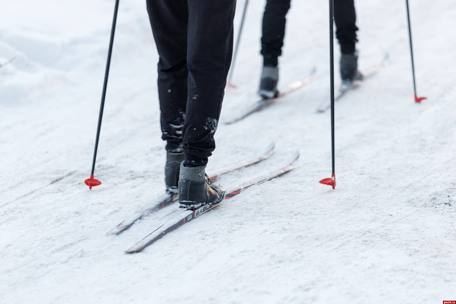 Старт лыжных гонок перенесли в Псковской области из-за экзамена у школьников