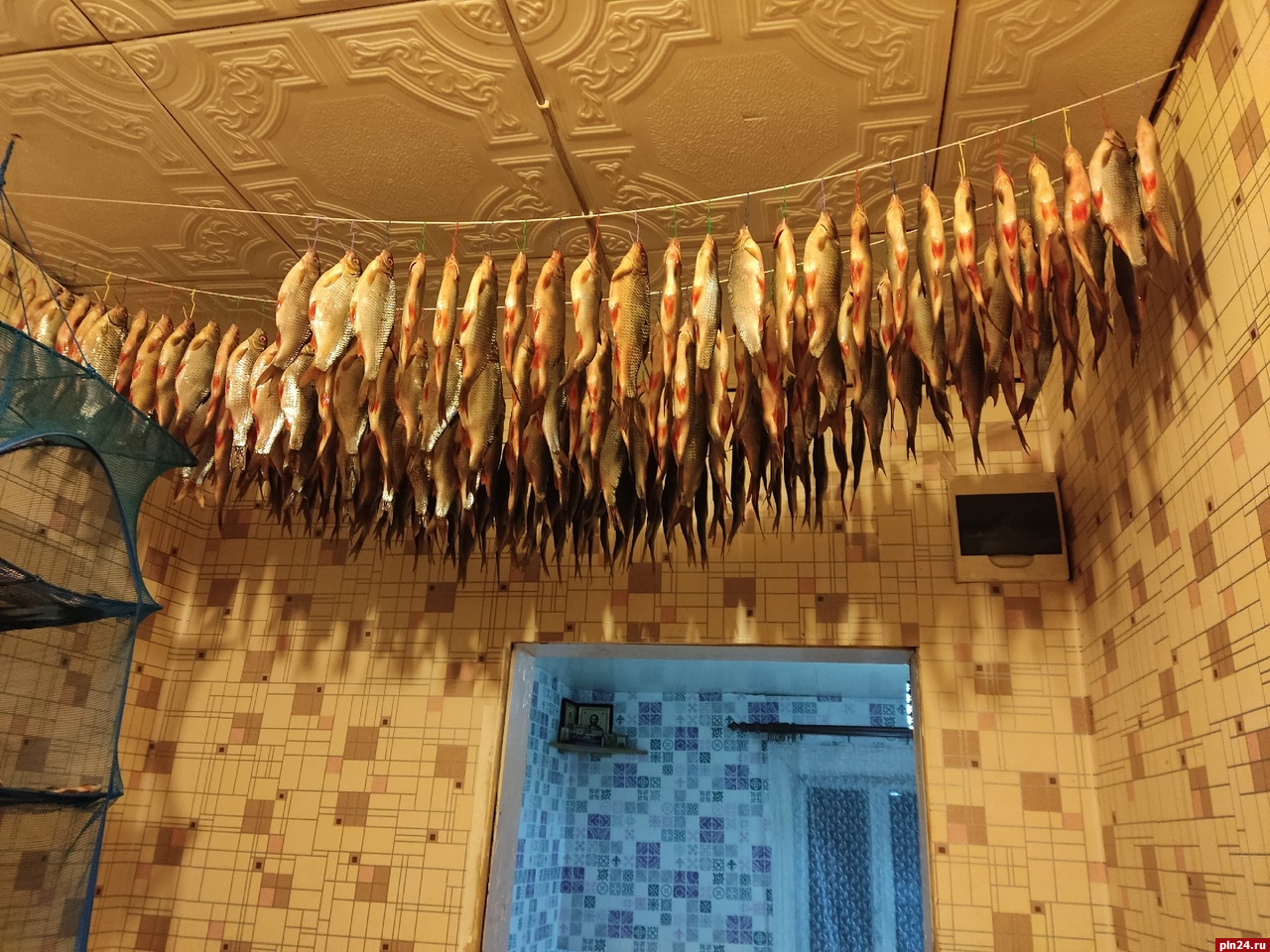 Псковичи демонстрируют в Сети свои конструкции для вяления рыбы. ФОТО