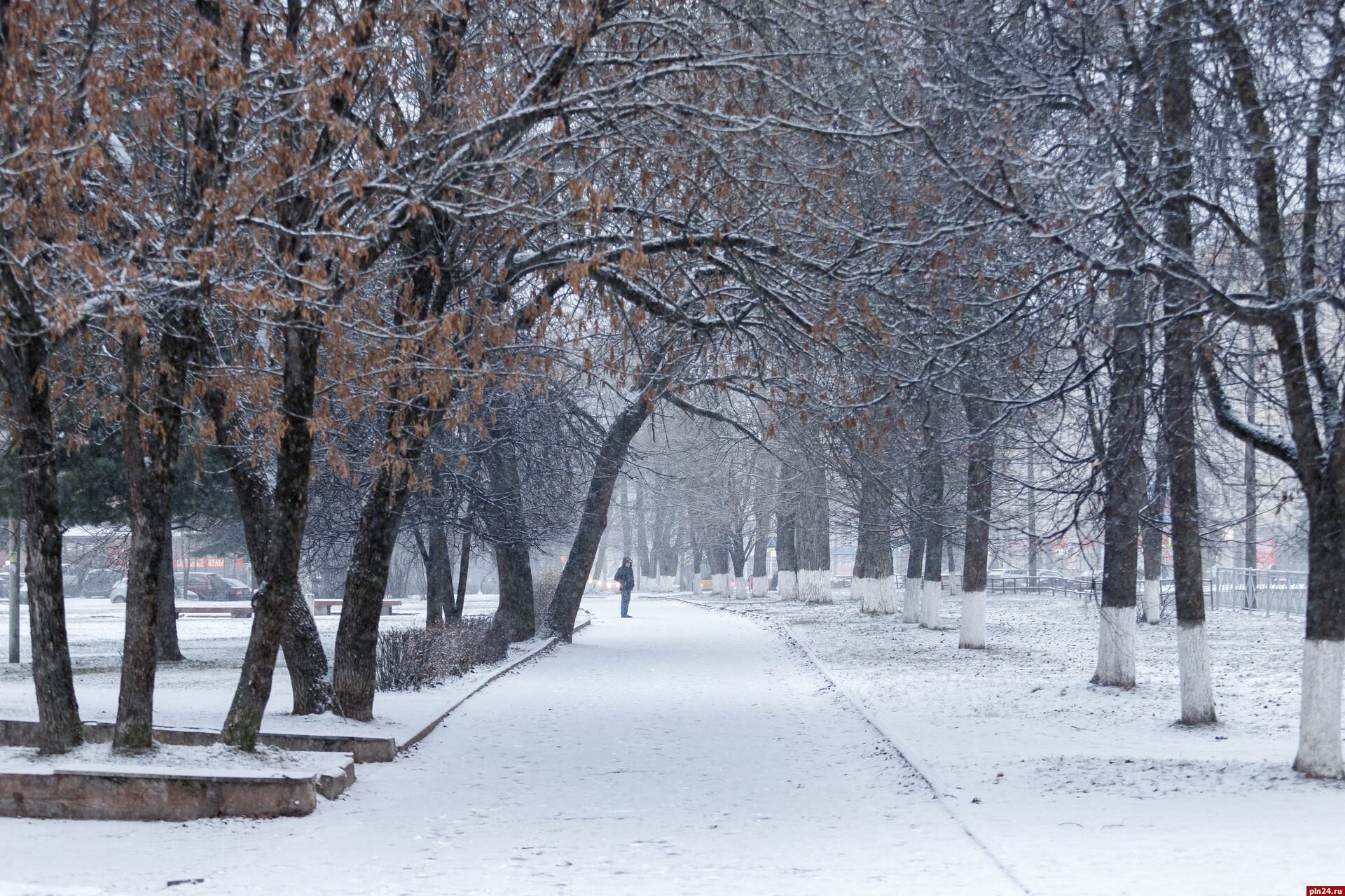Синоптик рассказала, стоит ли ждать увеличения снежного покрова в Псковской области