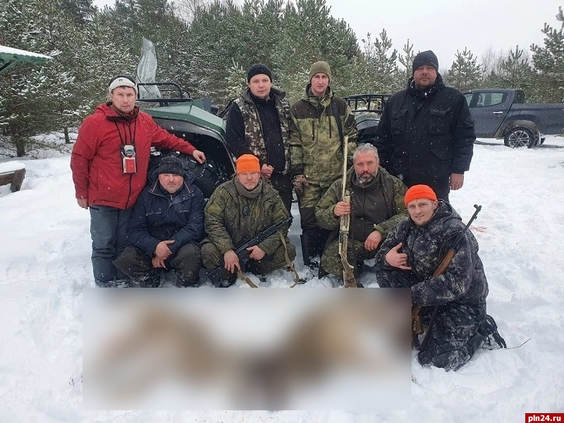 Двух волков застрелили охотники в Пушкиногорском районе
