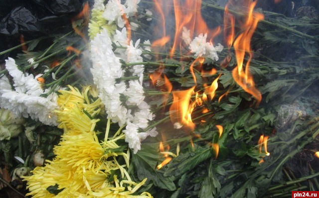 Более 25 тысяч цветов уничтожили в Псковской области в январе