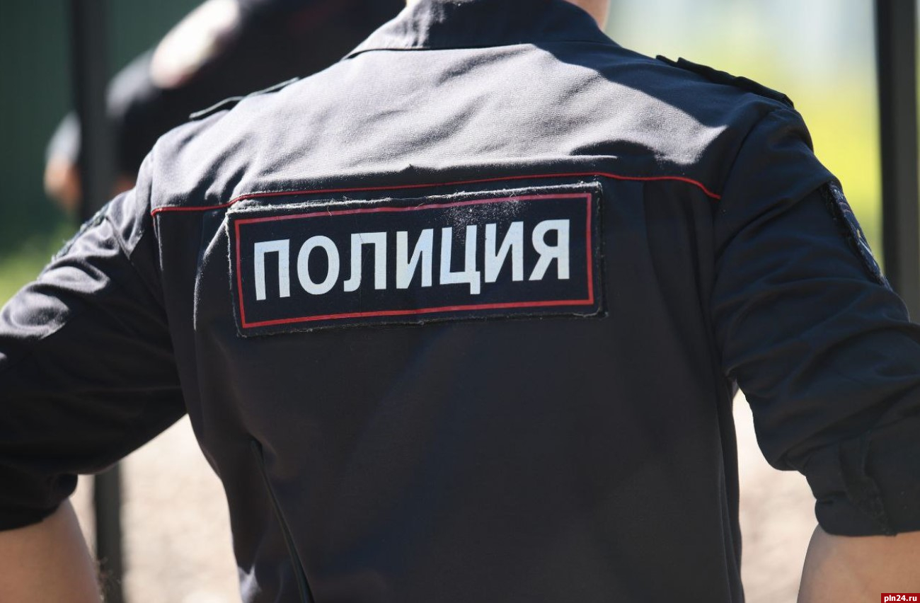 Новгородца осудили за избиение полицейского в Дедовичах