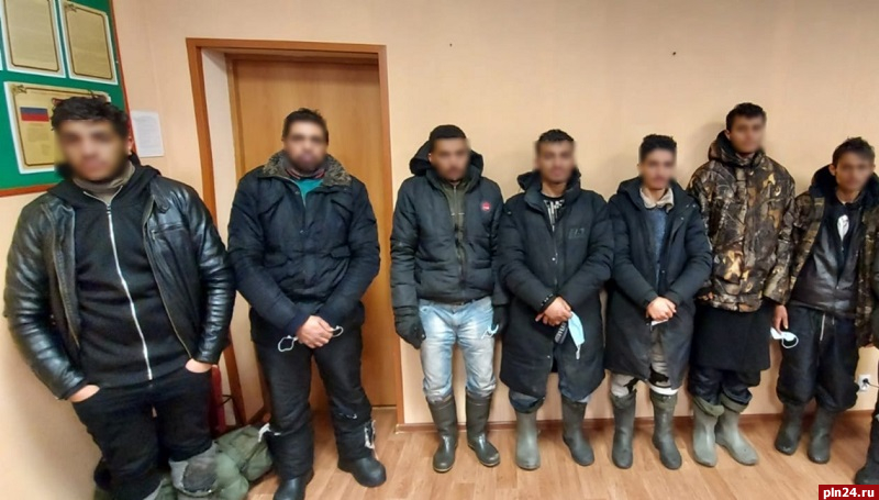 Семь иностранцев пытались незаконно пересечь границу России в Себежском районе