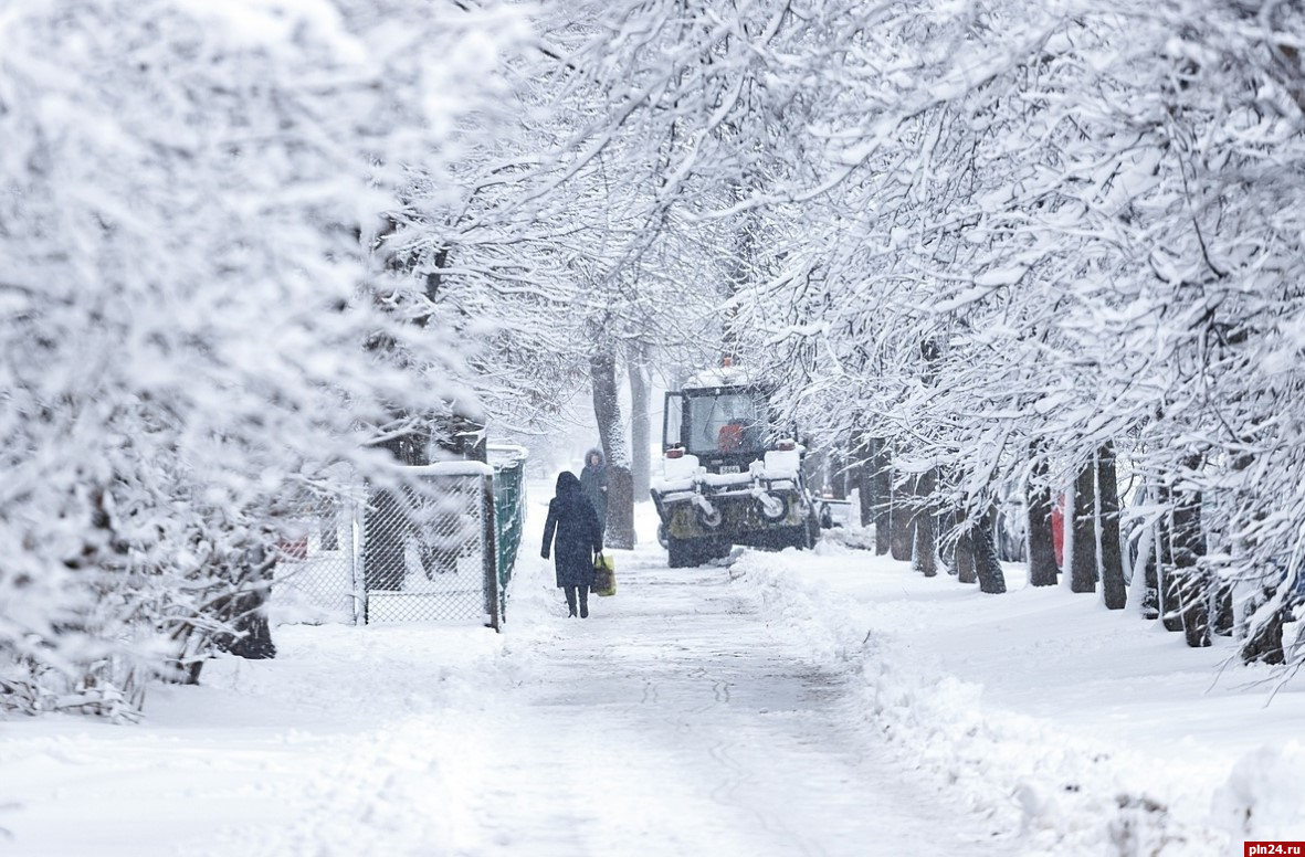 24-градусные морозы ожидаются в Псковской области