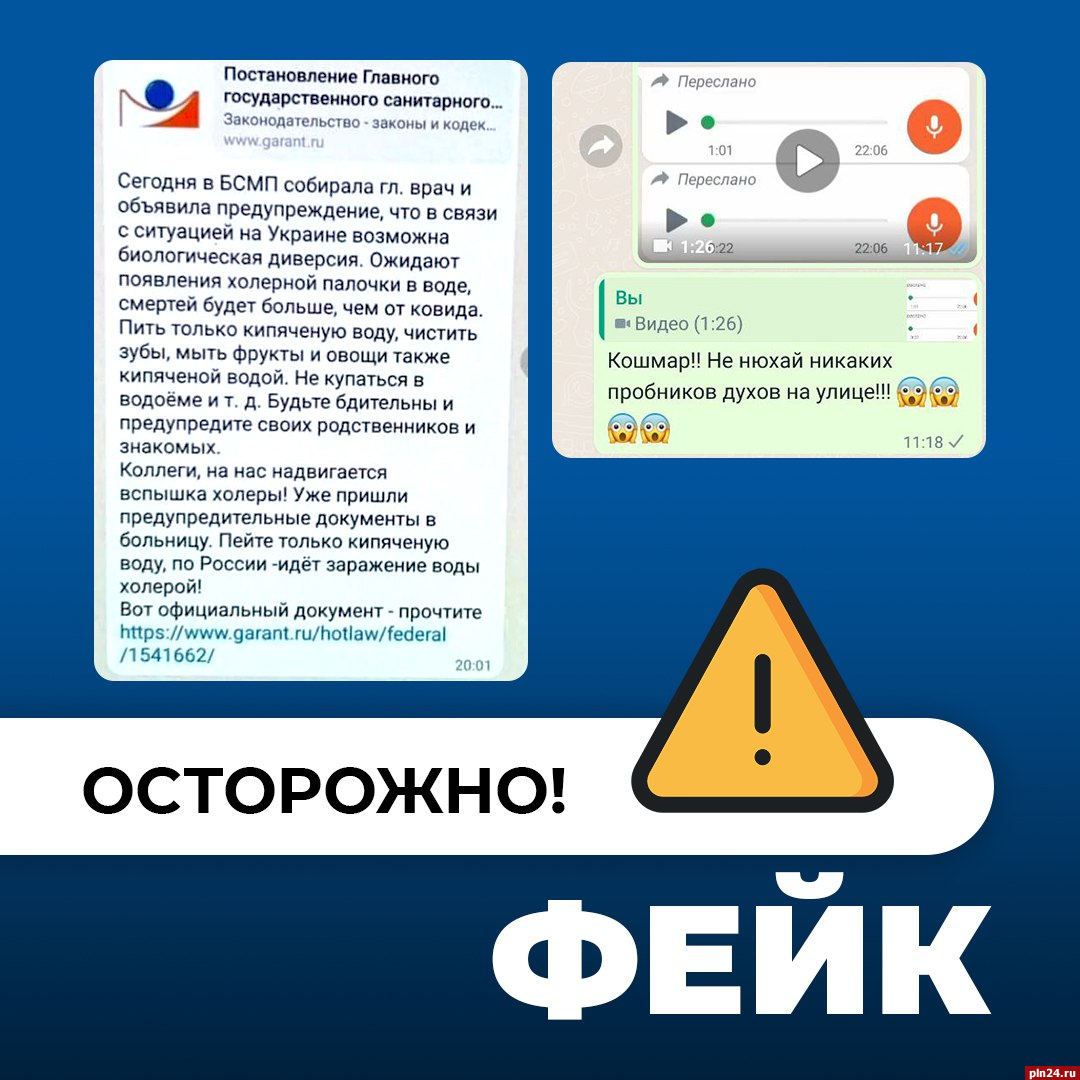 Псковские власти опровергли информацию о биологических атаках