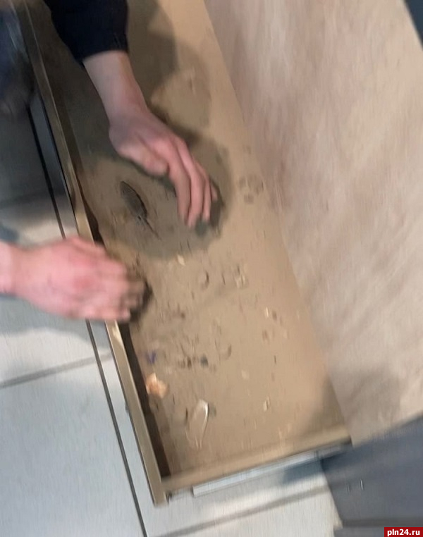 Мышь бегала по картошке в великолукском магазине. ФОТО