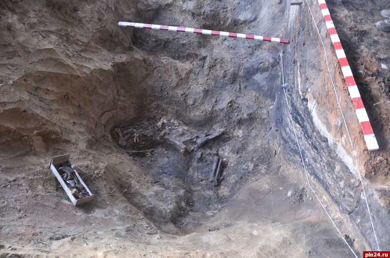 «Практически пони»: псковские археологи рассказали, на каких лошадях передвигались дружинники