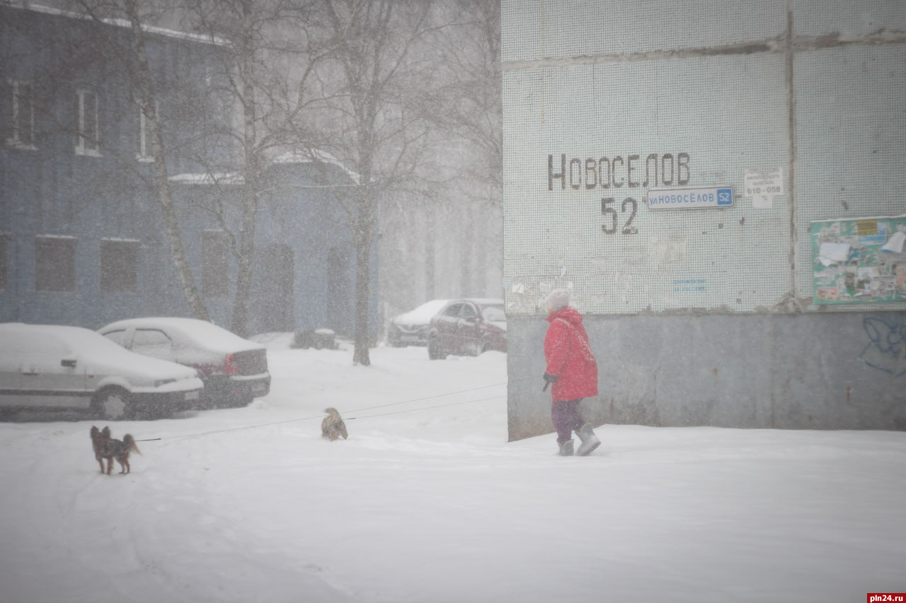 Сильный снегопад обрушился на Псков. ФОТО