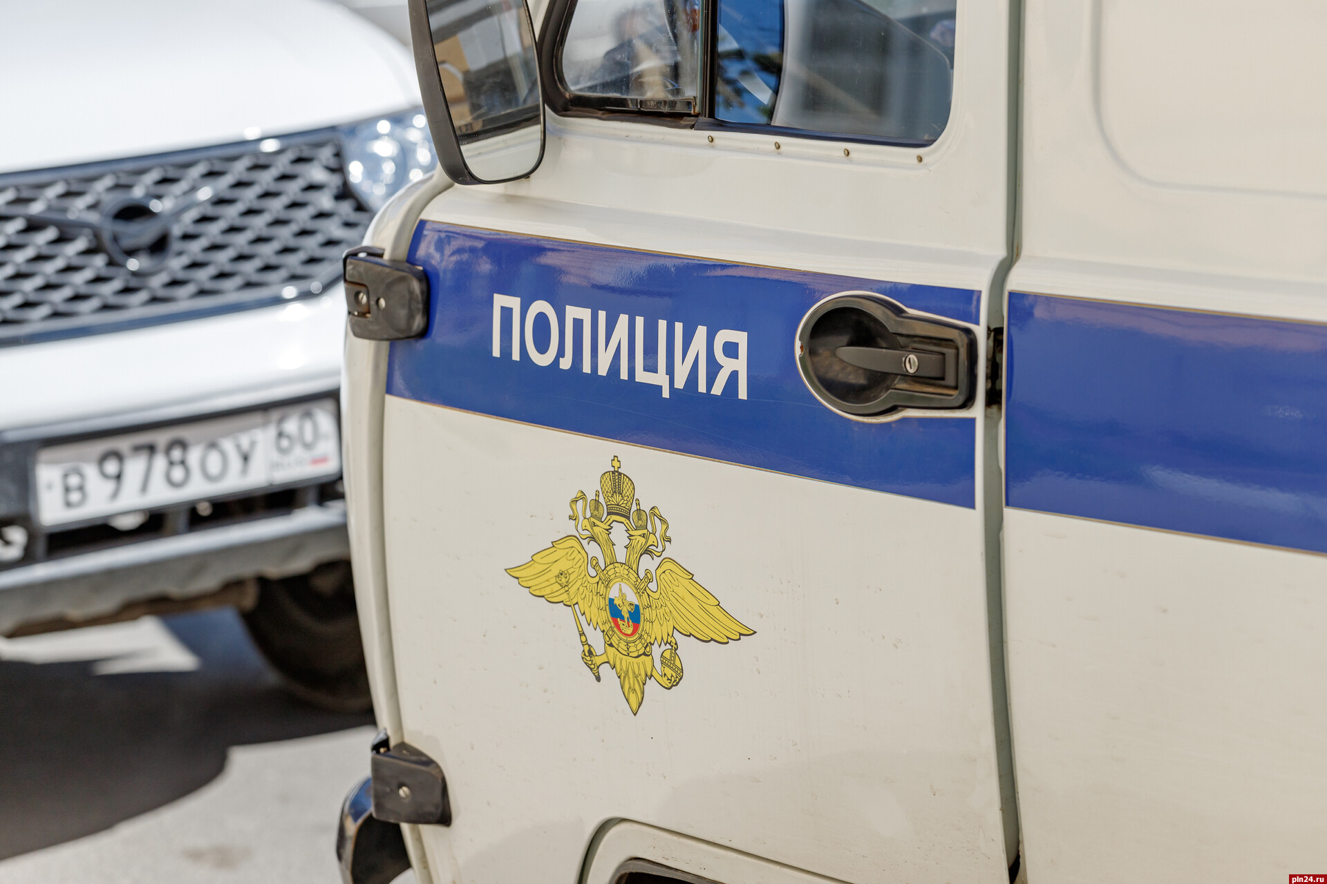 Подростки совершили около 50 мелких краж в Псковской области за год