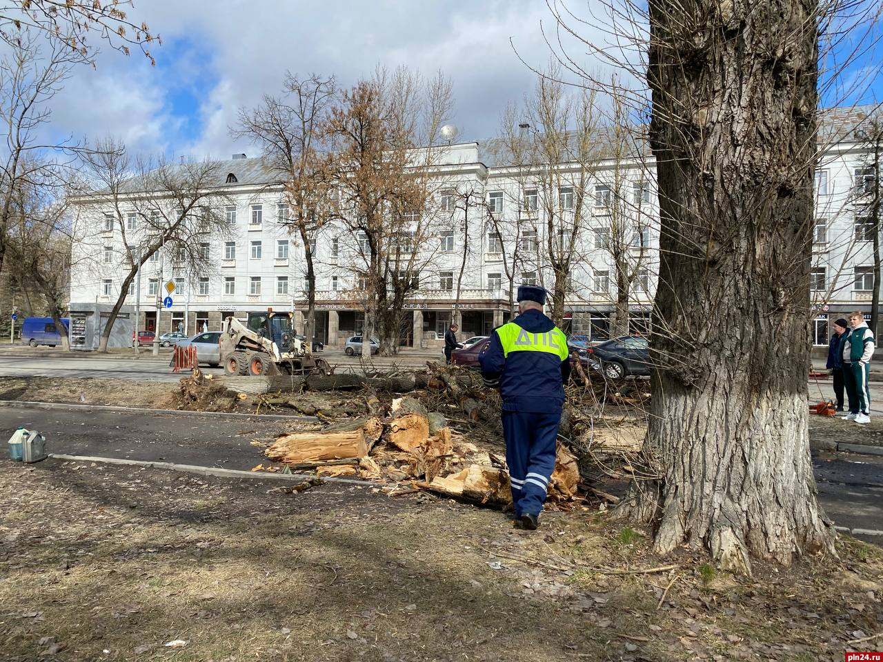 Упавшее на Октябрьском проспекте дерево убирают в Пскове