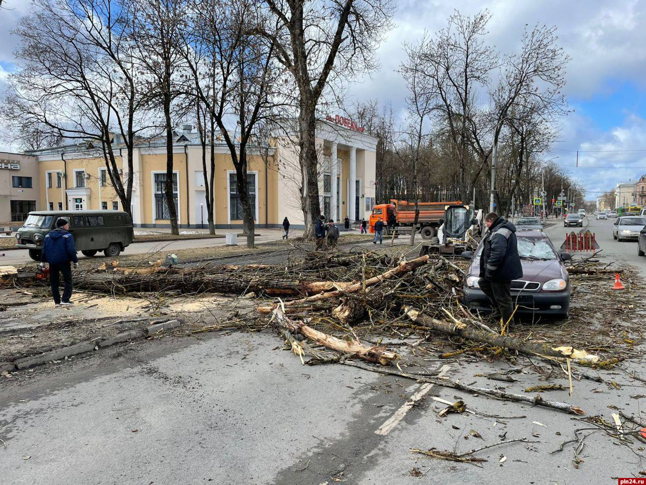 Вопрос возмещения ущерба от падения деревьев на Октябрьском проспекте урегулируют в Пскове