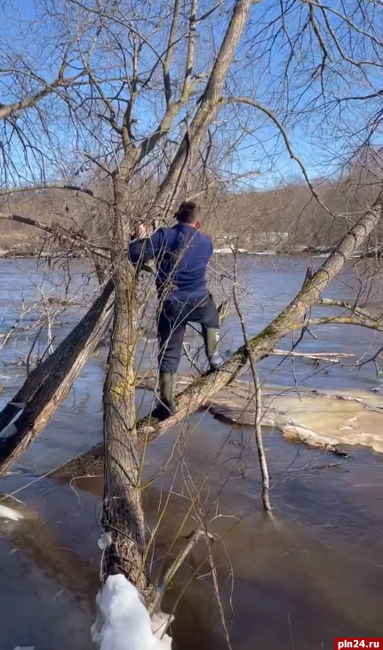 Тело мужчины нашли в реке Ловати великолукские поисковики