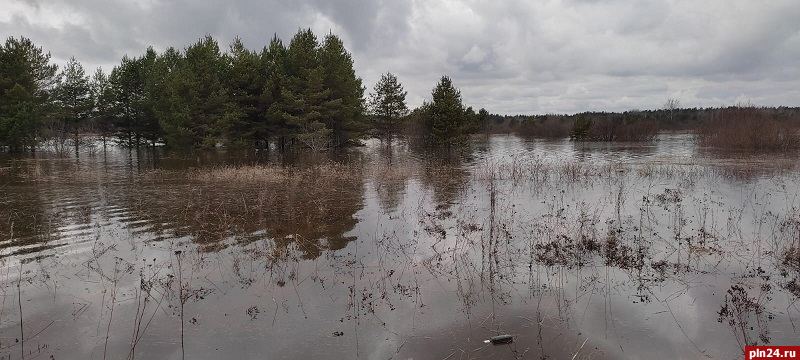 Деревню Мольгино затопило в результате паводка в Палкинском районе