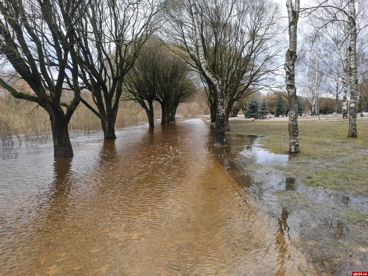 Два парка затопило в центре Пскова. ФОТО
