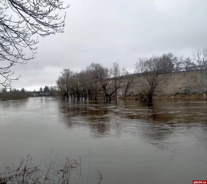 Поднятие уровня воды ожидается в реке Шелонь Порховского района