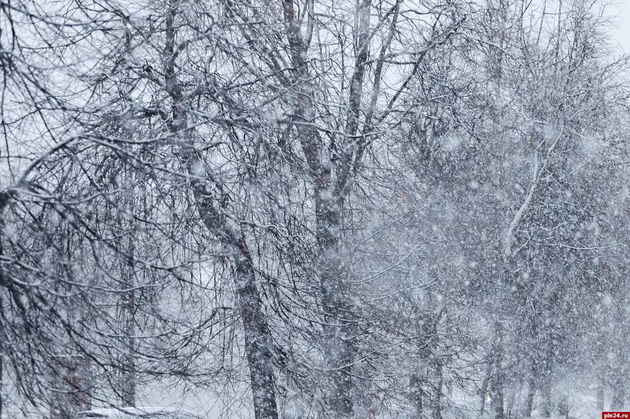 Сильный дождь со снегом прогнозируется в Псковской области 28 марта