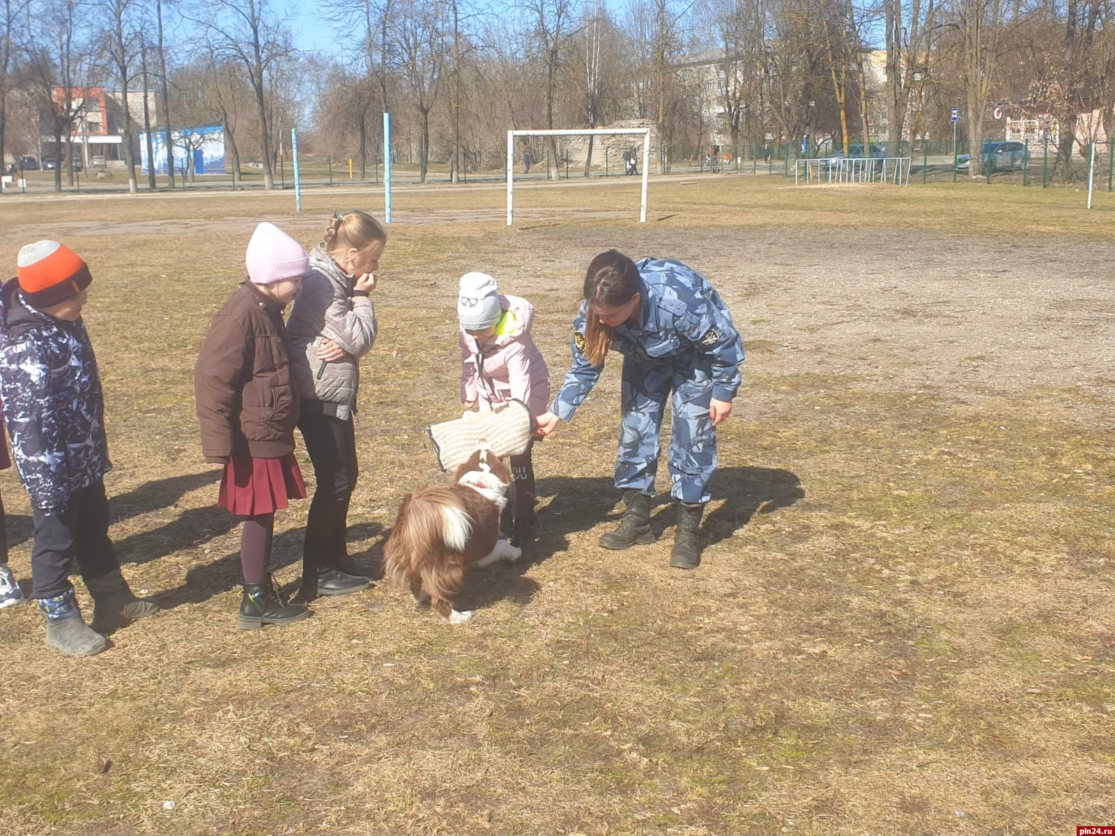 Кинологи со служебными собаками выступили перед ученикам школы № 12 в Пскове