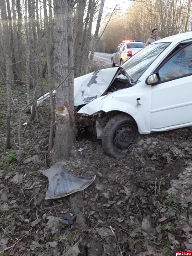 Пенсионерка за рулём Chevrolet врезалась в дерево в Плюсском районе