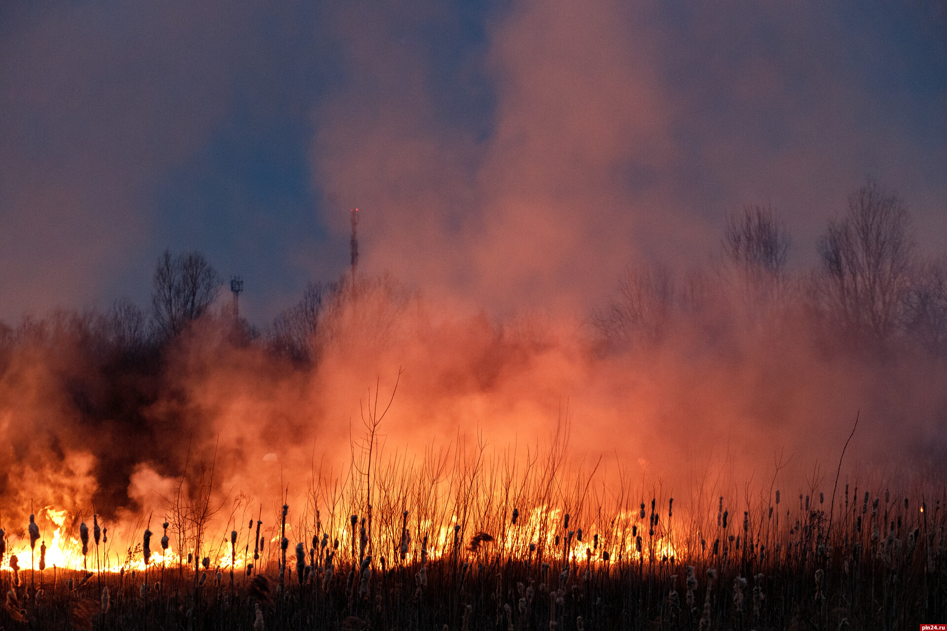 Меры ответственности за поджог леса надо ужесточать — Виктор Мусатов