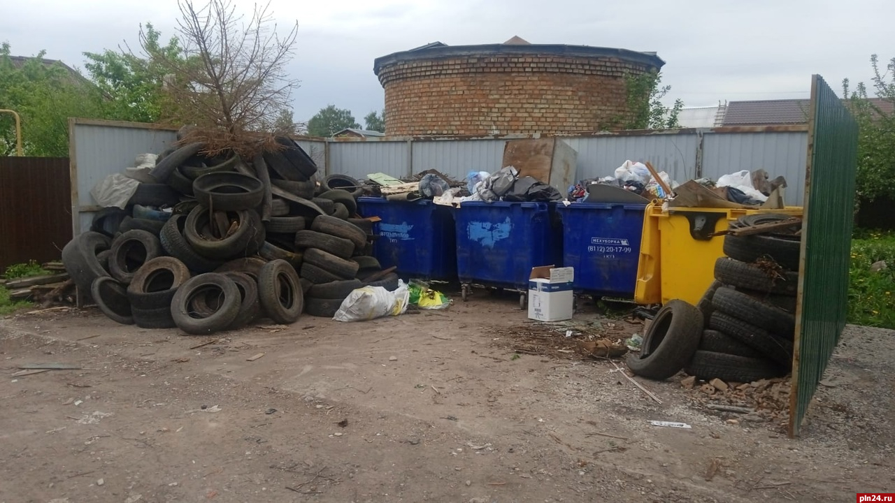 Несанкционированную свалку шин выявили сотрудники «Экопрома» в Пскове