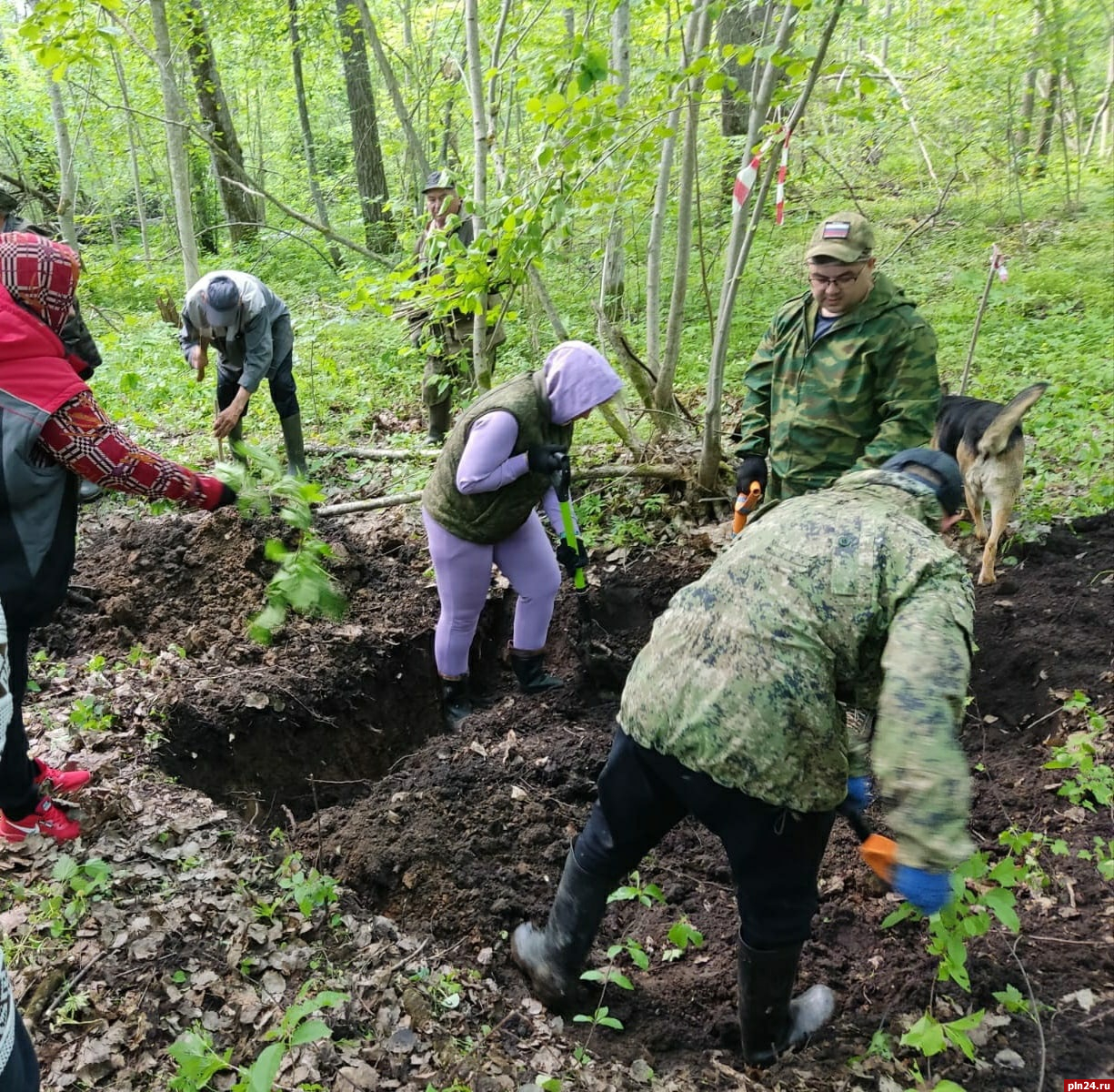 Место массового захоронения обнаружили в дновской деревне Колотушино