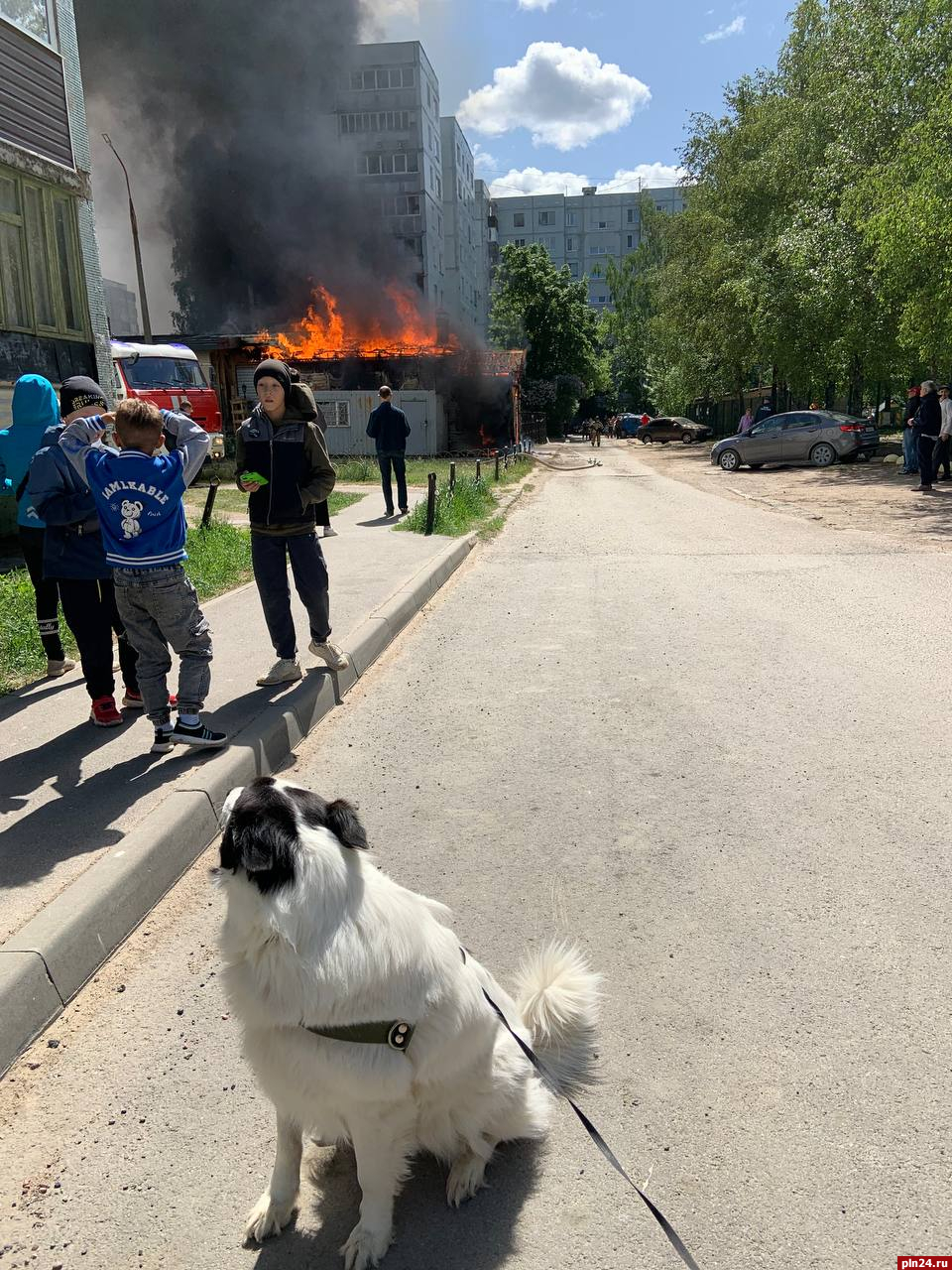 ресторан калейдоскоп псков