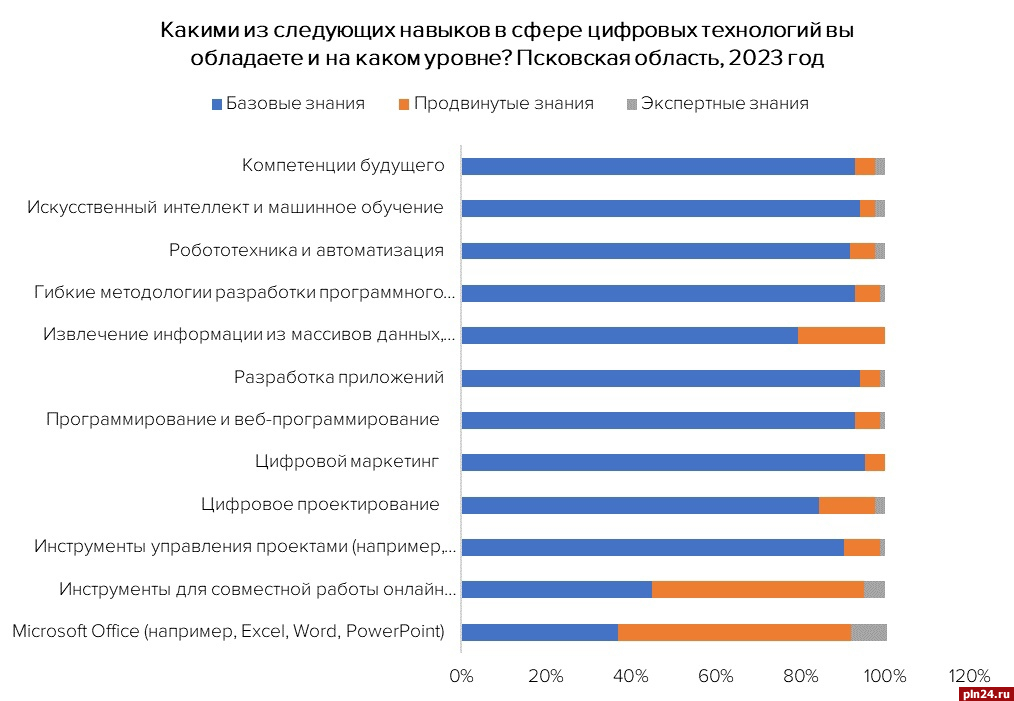 Продвинутыми знаниями в сфере цифровых технологий владеют лишь 2% псковичей - опрос