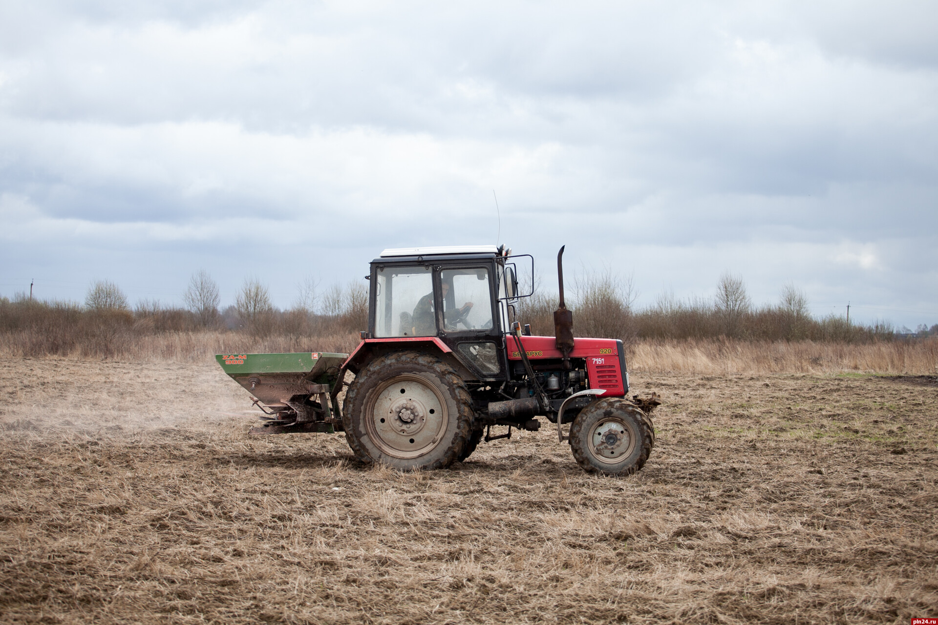 Восемь проектов по развитию фермерского хозяйства реализуют в Псковской области
