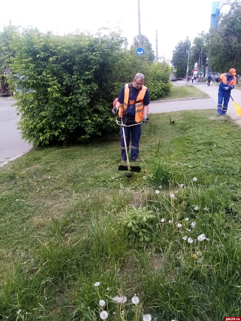 Траву вдоль проезжей части в Пскове скашивают сотрудники ООО «СитиИнвестГрупп»
